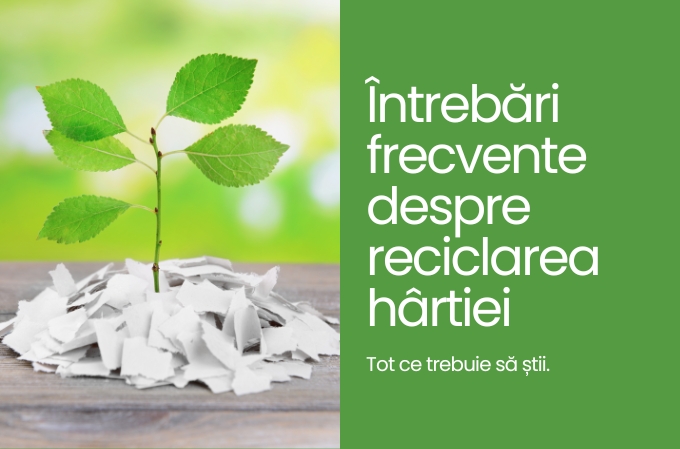Tot ce trebuie sa știi despre reciclarea cartonului și a hârtiei